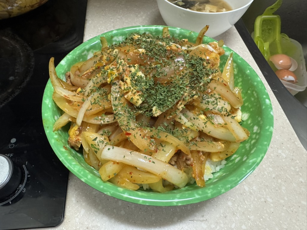 양파 덮밥